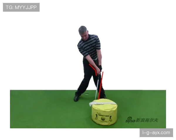 新研究揭示创新训练方法显著提升运动员竞技表现